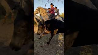 Bandido dans les prés d’Aigues Mortes manade Lescot [upl. by Stelmach467]