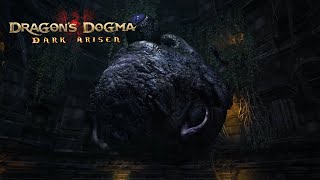 Dragons Dogma Dark Arisen Bitterblack Isle  Eye of the Deep [upl. by Aliekat]