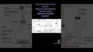 Preparation of carbon dioxide [upl. by Eglanteen]