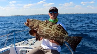 Non Stop Action  Offshore Wreck Fishing [upl. by Kathryn296]