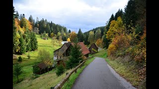 Schwarzwald NaturparkAugenBlickRunde quotHornberger Höhequot [upl. by Anaimad]