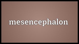 Mesencephalon Meaning [upl. by Burkhart]