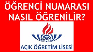 Açık Lise Öğrenci Numarası Nasıl Öğrenilir [upl. by Aramas]