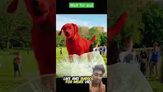 THE GIANT RED DOG SAVED MEN LIFE 😲❤️‍🩹shorts ytshorts animals dog [upl. by Soracco]