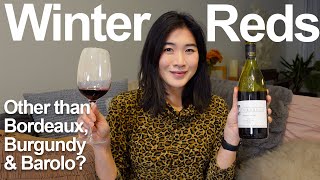 Red Wine Ideas for Winter  Sommelier Favorite Picks [upl. by Savannah]