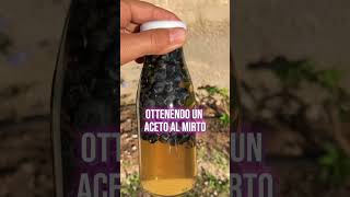 Aceto aromatizzato con le bacche di mirto [upl. by Biagio]