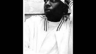 Talib Kweli  Fallen Star throw back [upl. by Yelsna871]