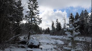 Disturbing Bigfoot Encounter of Sasquatch Pursuing Wolves [upl. by Arnaldo]