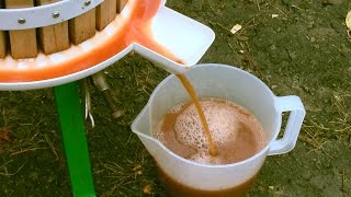 How to Easily make Apple Juice in a Press [upl. by Liana]