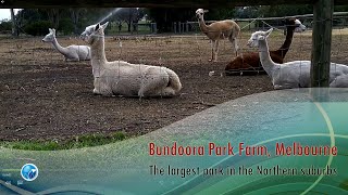 Bundoora Park Farm and Mount Cooper Victoria [upl. by Rairb]