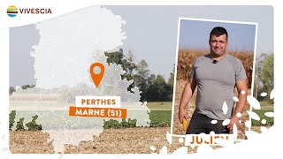 La moisson du maïs avec Julien agriculteurcoopérateur dans la Marne [upl. by Lahey477]