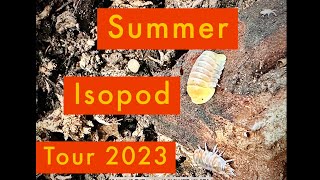 Summer Isopod Tour 2023 [upl. by Jarrid38]