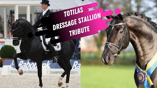 RIP Totilas Dressage Stallion Tribute 20002020 [upl. by Eirrok]