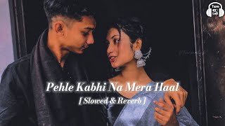 Pehle kabhi na mera haal  Slowed amp Reverb  Udit narayan  bollywood hindi songs LoFi [upl. by Stauffer]