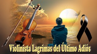 Violinista Lágrimas del Último Adiós  Tiwal chin eltoq yul jun kultaqti [upl. by Nagiem]