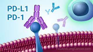 Understanding Immunotherapy for NSCLC with PD1 and PDL1 Biomarkers [upl. by Tymes]