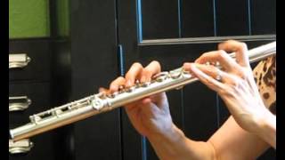 Muramatsu GXIII Used Flute for Sale  Response Demo [upl. by Chrotoem]