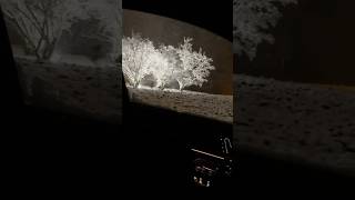 sweden vinter snow nicevideo [upl. by Adnaluoy]