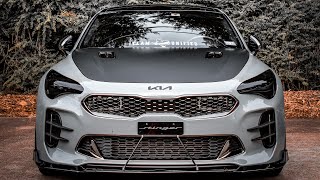 1 year with my Kia Stinger Walk around amp all mods Ive done so far [upl. by Orr331]