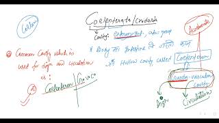 L1 ON COELENTERATA BY KN SIR [upl. by Wolram775]