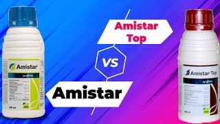 Syngenta Amistar Top Vs Amistar FungicidesSyngenta Best Fungicide [upl. by Ateinotna]