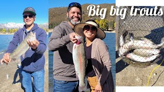 Trout Fishing at Lake Hemet California 11924 lot of big trouts troutfishing [upl. by Pownall]