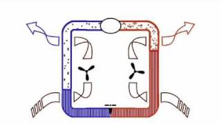 How Air Conditioning Works AnimationPart 1 of 3 [upl. by Bartlet]