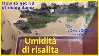 Umidità di risalita primaria [upl. by Ecirehc]