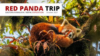 Lukas Zeman Expedition Red Panda  Nepal October 2021 [upl. by Ahtelahs]