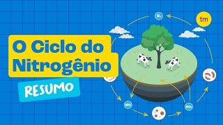 CICLO DO NITROGÊNIO  Como Funciona [upl. by Yonita]