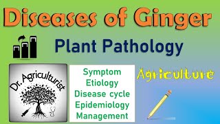 L 15  Diseases of Ginger  Soft rot  Pythium Management  BSc Agriculture Exam  IGKV  CET ICAR [upl. by Atsyrt]