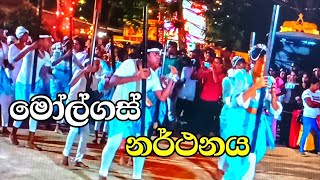 මෝල් ගස් නැටුම කොහොමද ඒක  molgas natuma kohomada eka [upl. by Sik]