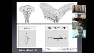 Aula Introdução à locomoção mecanismo pendular e elástico 19 nov 2024 ppgcmh [upl. by Drona]