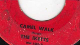 Camel Walk  The Ikettes [upl. by Justen]