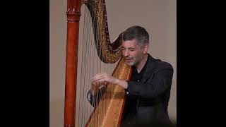 bach Bachs Toccata on the harp livemusic classicalmusic harpist [upl. by Keryt169]