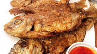 FRIED SNAPPER FISH  How To Fry Fish  Crispy Fried Fish  Fish  Jamaican Fried Snapper [upl. by Mauricio]