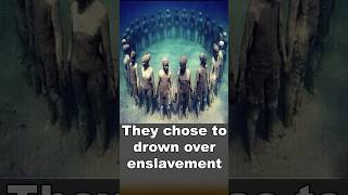 African captives chose to drown to escape slavery shorts facts history [upl. by Haman712]