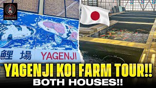 YAGENJI KOI FARM TOUR EXCELLENT KOI AND FACILITY [upl. by Manchester496]