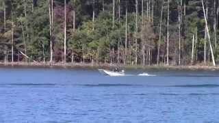 99 Carolina Skiff J14 Honda 9 9 Four Stroke [upl. by Ahsenod]