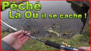 LA PECHE DU BROCHET aux LEURRE SOUPLE en montage TEXAN [upl. by Keverian961]