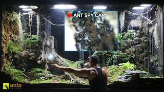 I Used an Endoscopic Camera to Peek Into an Ant Nest in My Giant Ecosystem Vivarium [upl. by Seiber450]