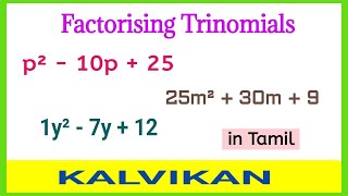 Factorising Trinomials in Tamil  Polynomials Basic Introduction  Quadratic Equations  Kalvikan [upl. by Aicen]