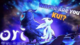 Lost in the Storm Ori and the Will of the Wisps Gameplay  Part 1 [upl. by Furiya463]