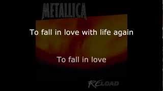 Metallica  Fixxxer Lyrics HD [upl. by Bern]