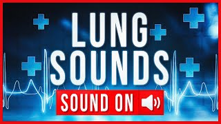 REAL LUNG SOUNDS  ASSESSMENT [upl. by Octavian]