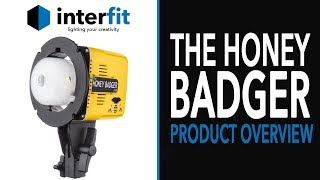 Introducing the NEW Interfit Honey Badger [upl. by Hovey]