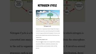 Nitrogen cycle  NCERT [upl. by Gerdeen]