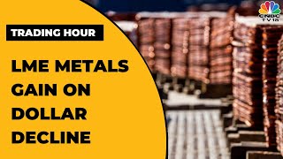 LME Metals Gain On Dollar Decline Copper Gains On Tight Supplies In China  Trading Hour [upl. by Devine]