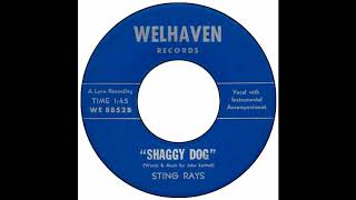 Sting Rays  Shaggy Dog [upl. by Merv]