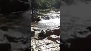 Panimur Waterfall picnicspot touristplace sortvideo [upl. by Yclehc]